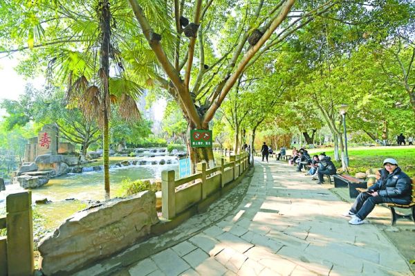市民在南门坝生态公园享受春节假期。