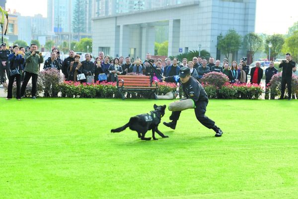 “凌云”的“战友”给市民表演（资料图）