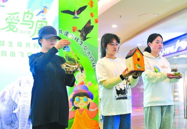 市民现场展示制作的动植物文创作品。