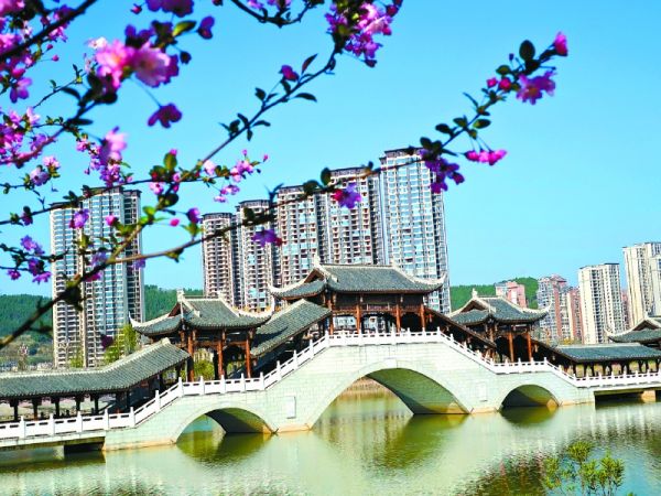 禹迹岛公园海棠争艳。冯春艳摄